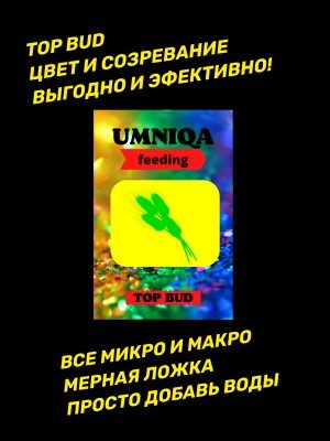 UMNIQA-feeding telegram (2) 300x400
